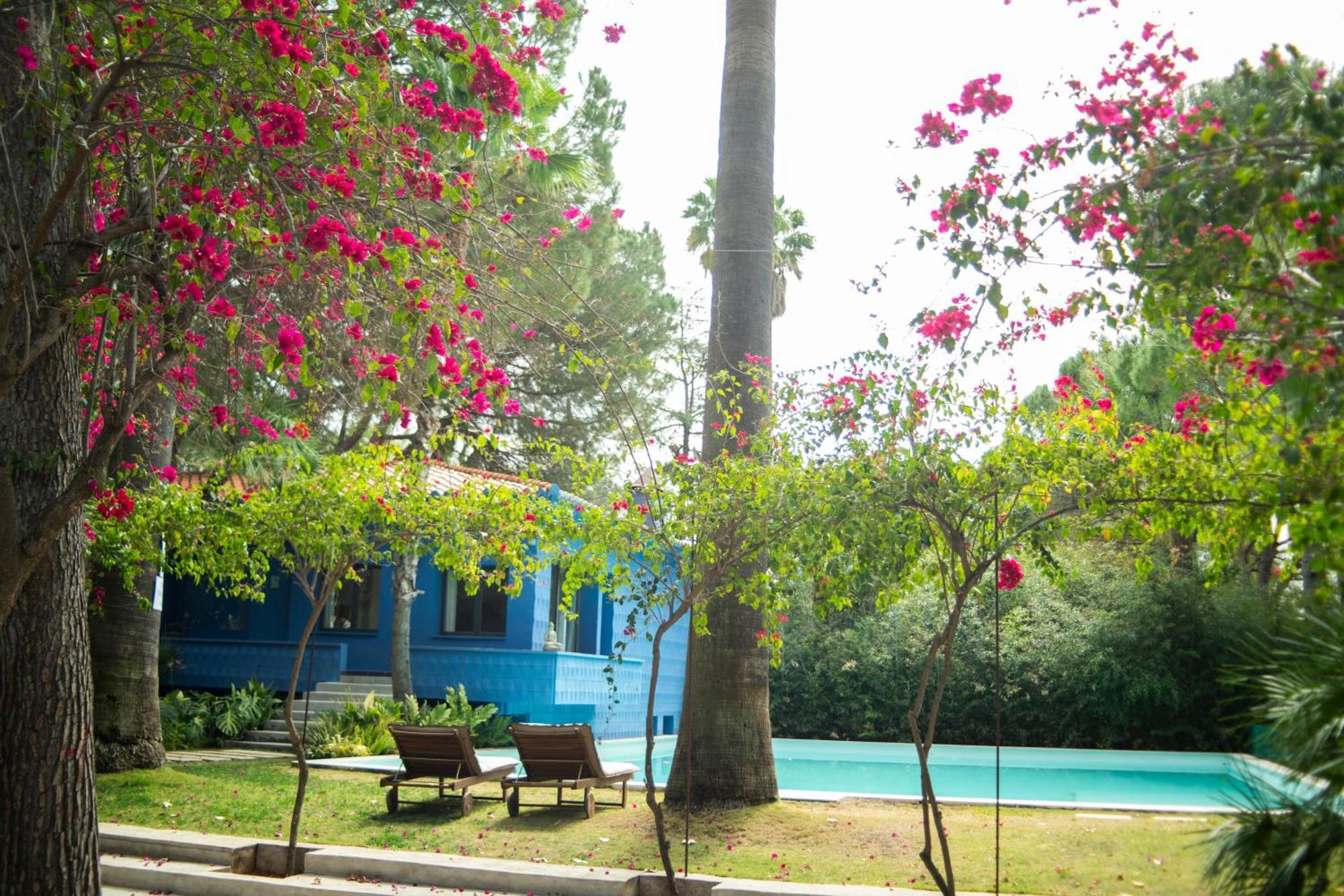 El Botanico De Sagra Hotel Exterior foto