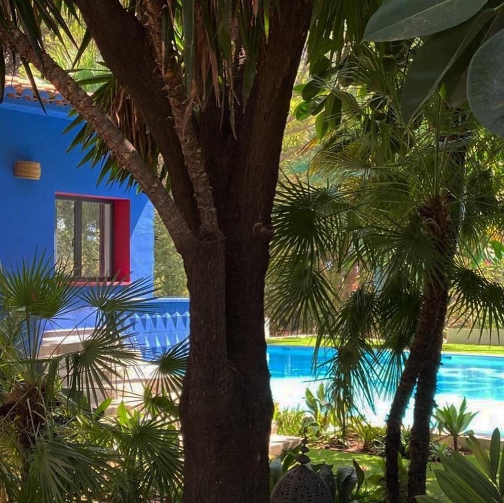 El Botanico De Sagra Hotel Exterior foto