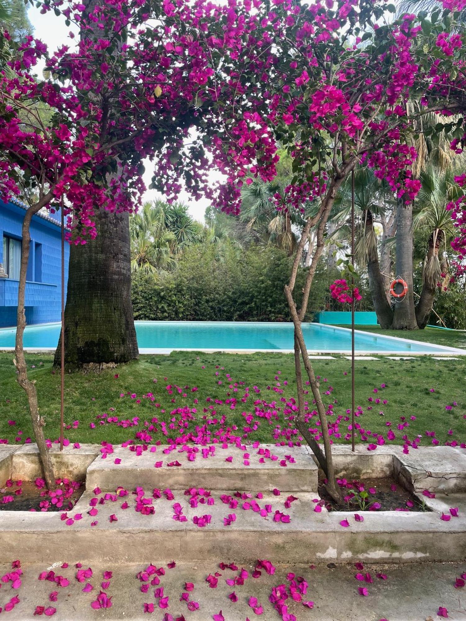 El Botanico De Sagra Hotel Exterior foto